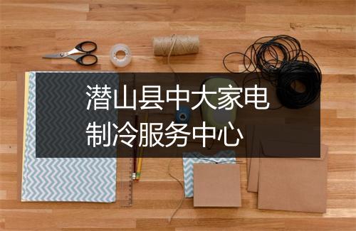 潜山县中大家电制冷服务中心