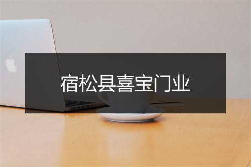 宿松县喜宝门业