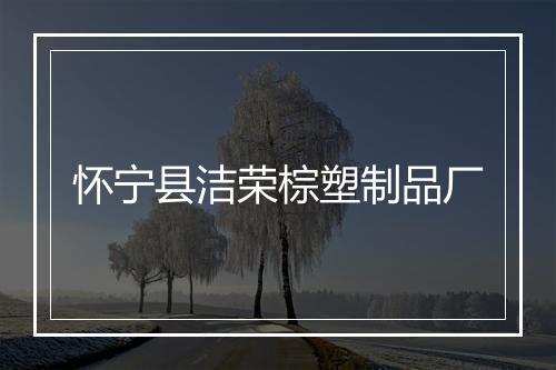 怀宁县洁荣棕塑制品厂