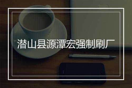 潜山县源潭宏强制刷厂