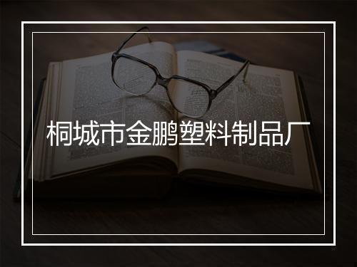 桐城市金鹏塑料制品厂
