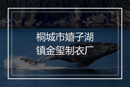 桐城市嬉子湖镇金玺制衣厂