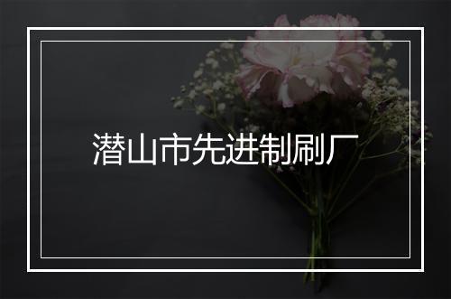 潜山市先进制刷厂