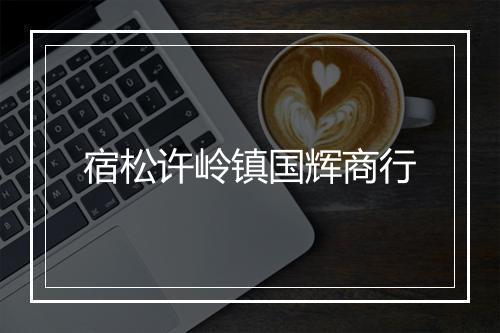 宿松许岭镇国辉商行