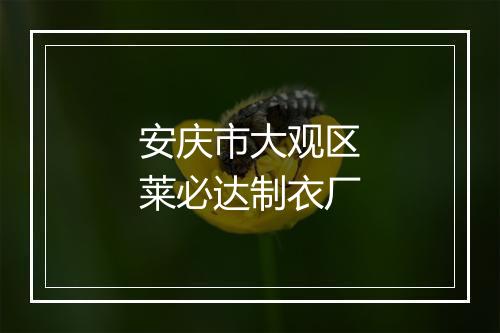 安庆市大观区莱必达制衣厂