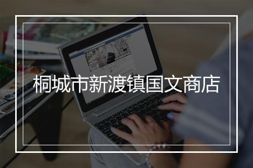 桐城市新渡镇国文商店