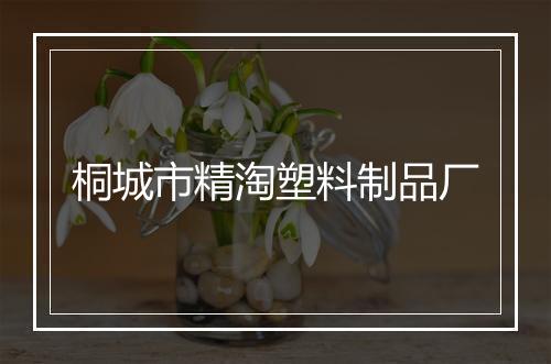 桐城市精淘塑料制品厂
