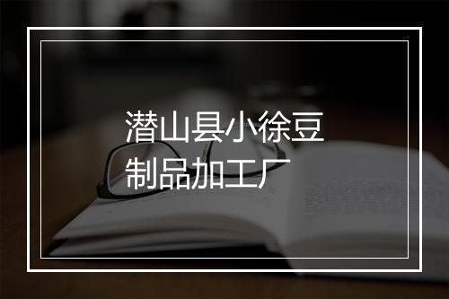 潜山县小徐豆制品加工厂
