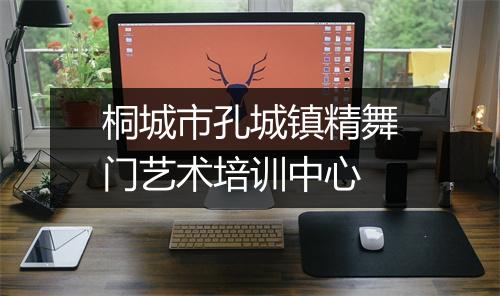 桐城市孔城镇精舞门艺术培训中心