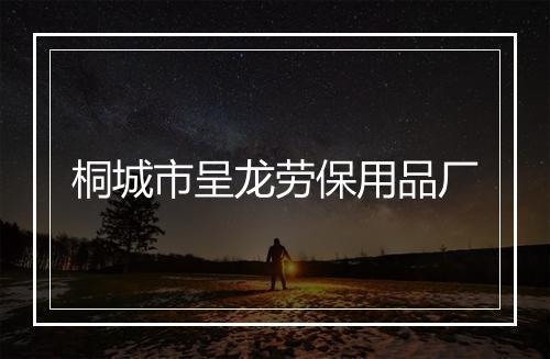 桐城市呈龙劳保用品厂