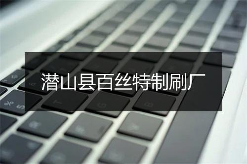 潜山县百丝特制刷厂