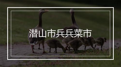 潜山市兵兵菜市