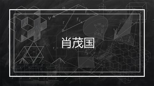 肖茂国