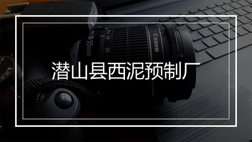 潜山县西泥预制厂