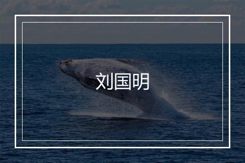 刘国明