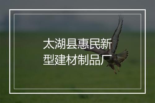 太湖县惠民新型建材制品厂