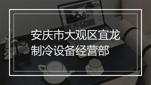 安庆市大观区宜龙制冷设备经营部