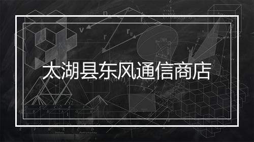 太湖县东风通信商店