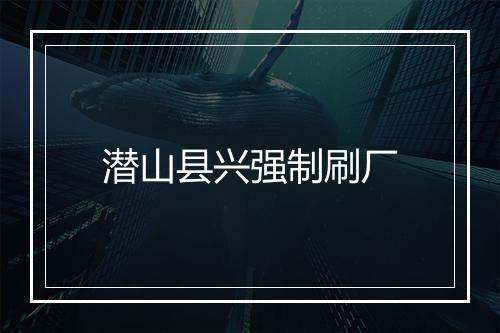 潜山县兴强制刷厂