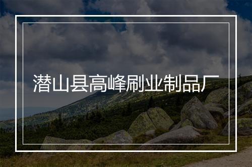 潜山县高峰刷业制品厂