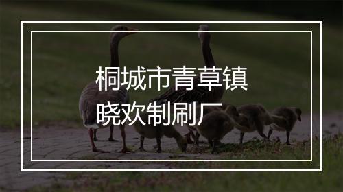 桐城市青草镇晓欢制刷厂