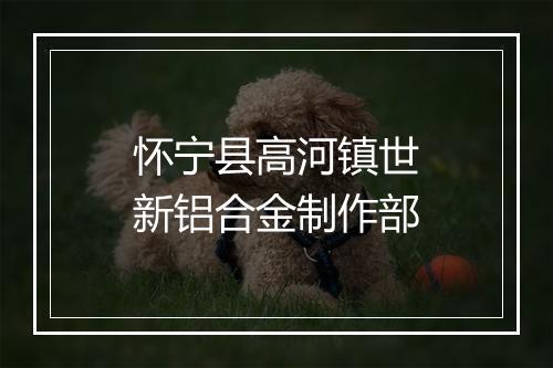 怀宁县高河镇世新铝合金制作部