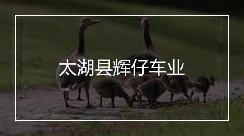 太湖县辉仔车业