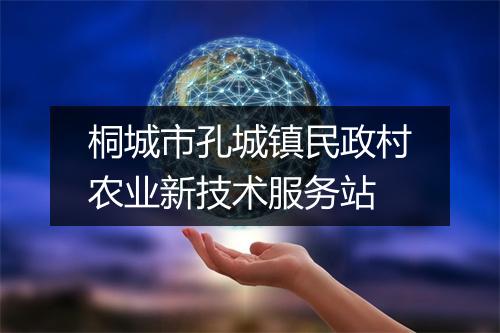 桐城市孔城镇民政村农业新技术服务站