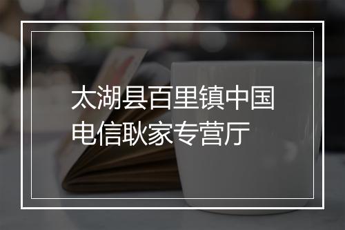 太湖县百里镇中国电信耿家专营厅