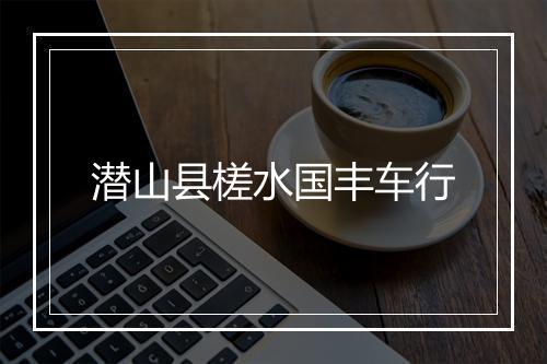 潜山县槎水国丰车行