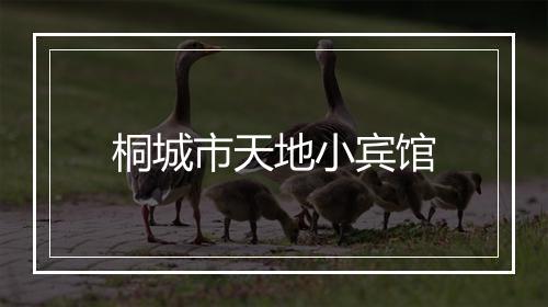 桐城市天地小宾馆