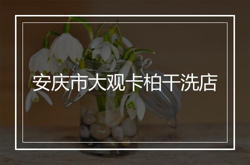 安庆市大观卡柏干洗店