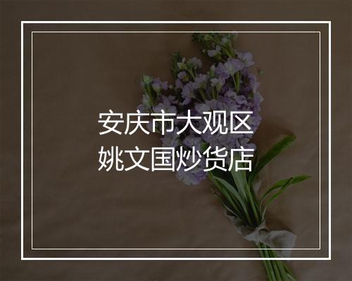 安庆市大观区姚文国炒货店