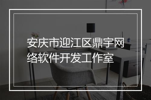 安庆市迎江区鼎宇网络软件开发工作室