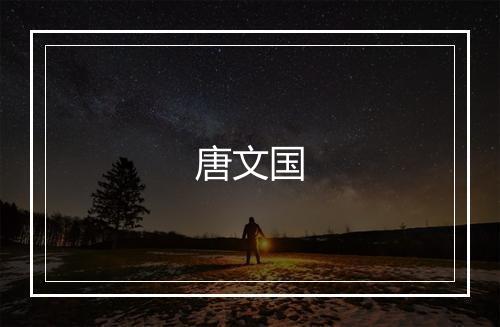 唐文国
