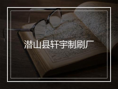 潜山县轩宇制刷厂