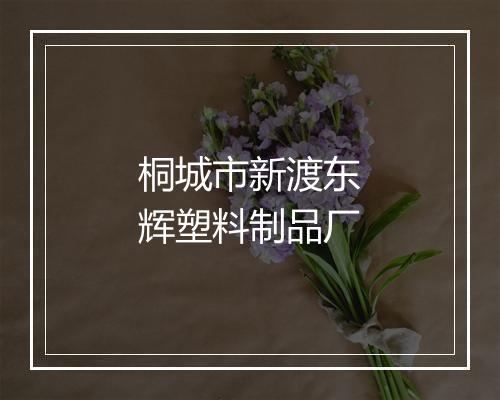 桐城市新渡东辉塑料制品厂