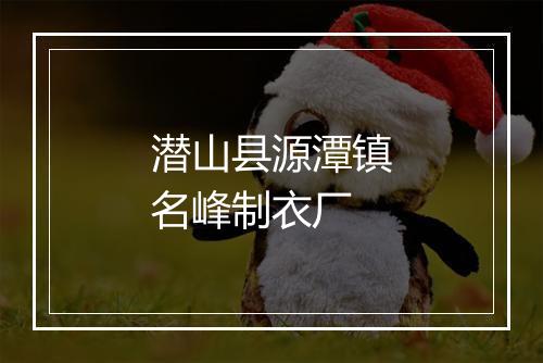 潜山县源潭镇名峰制衣厂