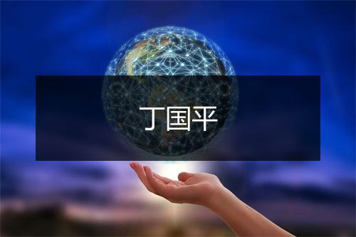 丁国平