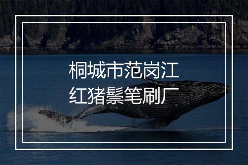 桐城市范岗江红猪鬃笔刷厂
