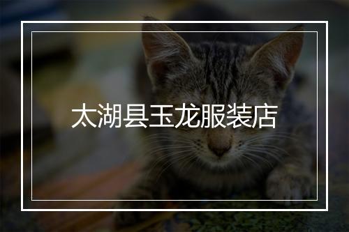 太湖县玉龙服装店