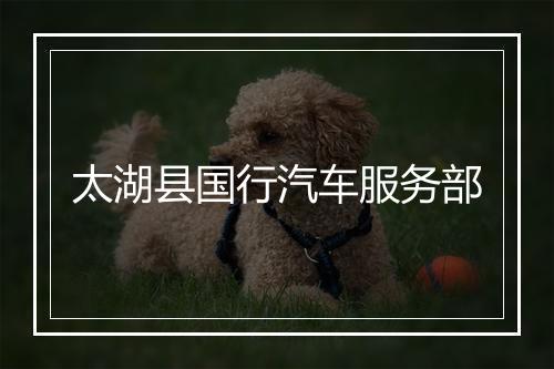 太湖县国行汽车服务部