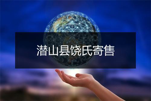 潜山县饶氏寄售