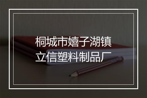 桐城市嬉子湖镇立信塑料制品厂