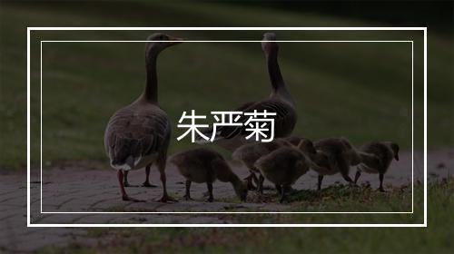 朱严菊