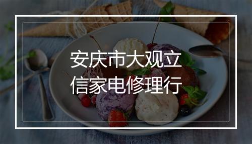 安庆市大观立信家电修理行