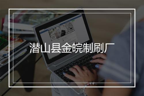 潜山县金皖制刷厂