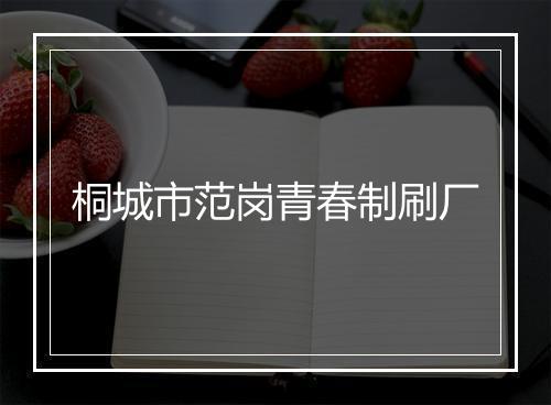 桐城市范岗青春制刷厂