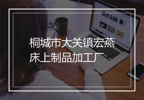 桐城市大关镇宏燕床上制品加工厂