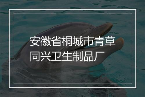 安徽省桐城市青草同兴卫生制品厂